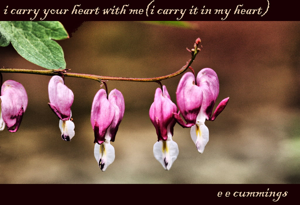 i carry your heart with me